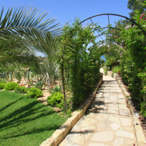 Green Forest - Cyprus' leading landscaping company - arches 1