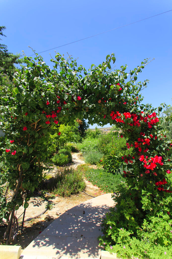 Green Forest - Cyprus' leading landscaping company - arches 10 2