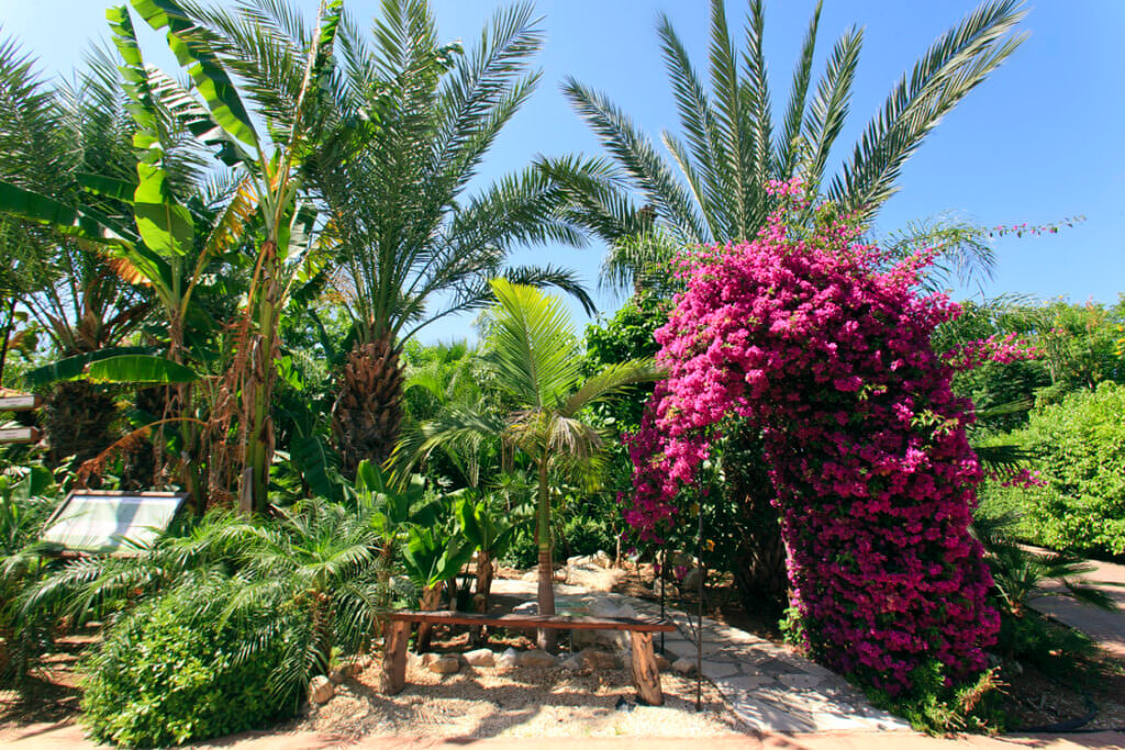 Green Forest - Cyprus' leading landscaping company - arches 6 2