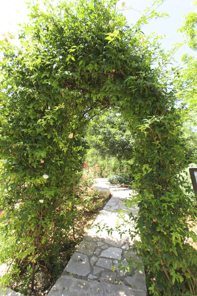 Green Forest - Cyprus' leading landscaping company - arches 7 2