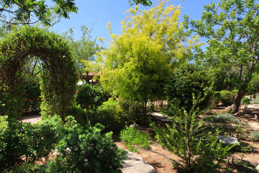 Green Forest - Cyprus' leading landscaping company - arches 8 1