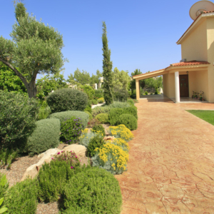 Green Forest - Cyprus' leading landscaping company - aromaticgardens 1 3
