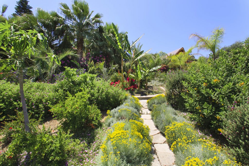 Green Forest - Cyprus' leading landscaping company - aromaticgardens 10 3
