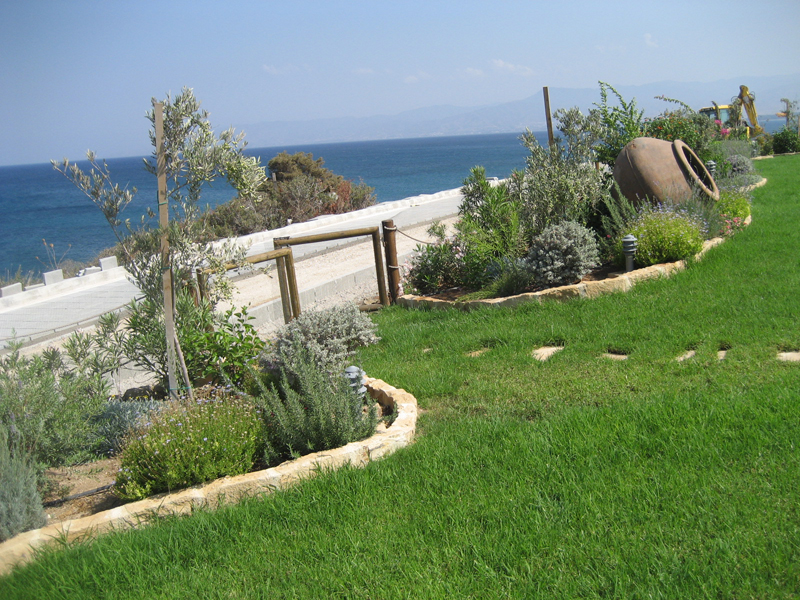 Green Forest - Cyprus' leading landscaping company - aromaticgardens 13 2