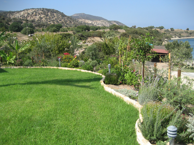 Green Forest - Cyprus' leading landscaping company - aromaticgardens 14 3