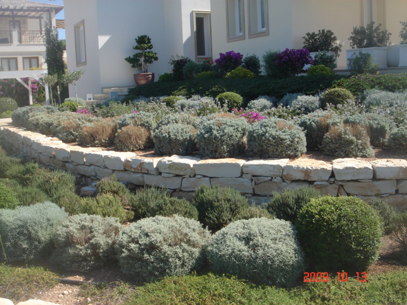 Green Forest - Cyprus' leading landscaping company - aromaticgardens 15 3
