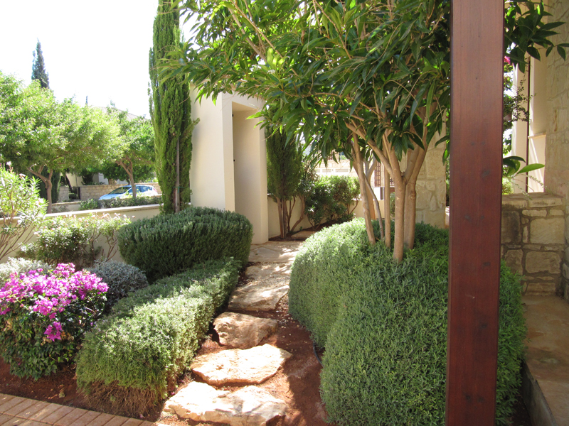 Green Forest - Cyprus' leading landscaping company - aromaticgardens 17 3