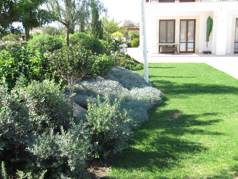 Green Forest - Cyprus' leading landscaping company - aromaticgardens 18 2