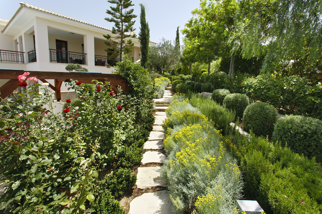Green Forest - Cyprus' leading landscaping company - aromaticgardens 2 3