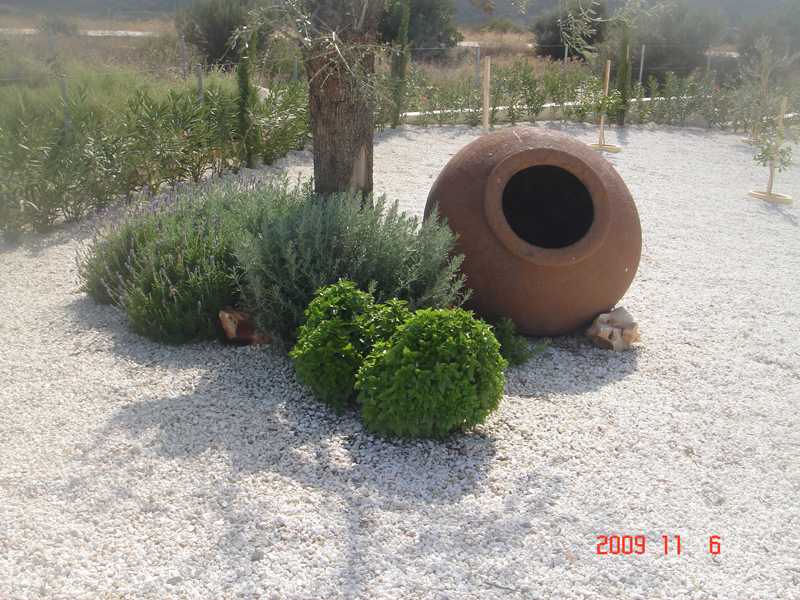 Green Forest - Cyprus' leading landscaping company - aromaticgardens 20 3