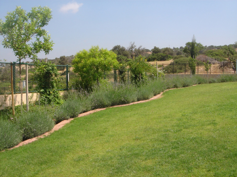 Green Forest - Cyprus' leading landscaping company - aromaticgardens 22 3