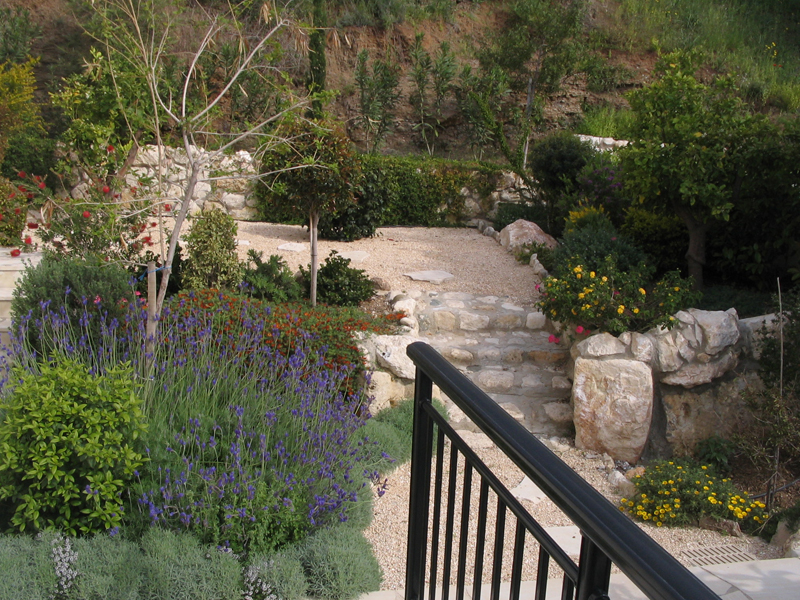 Green Forest - Cyprus' leading landscaping company - aromaticgardens 23 3