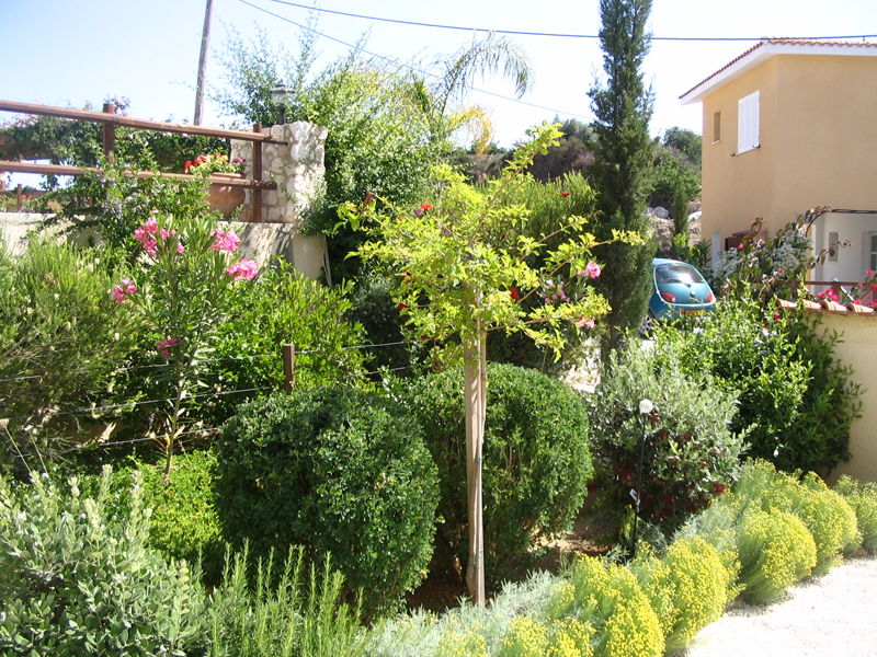 Green Forest - Cyprus' leading landscaping company - aromaticgardens 24 3