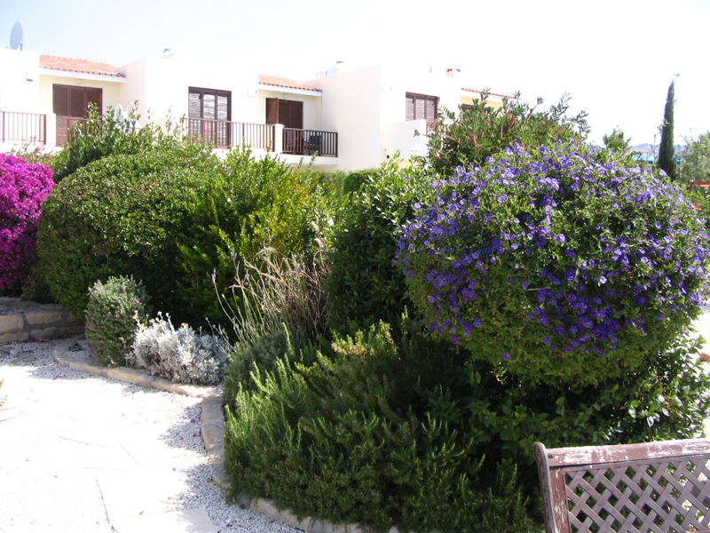 Green Forest - Cyprus' leading landscaping company - aromaticgardens 25 3