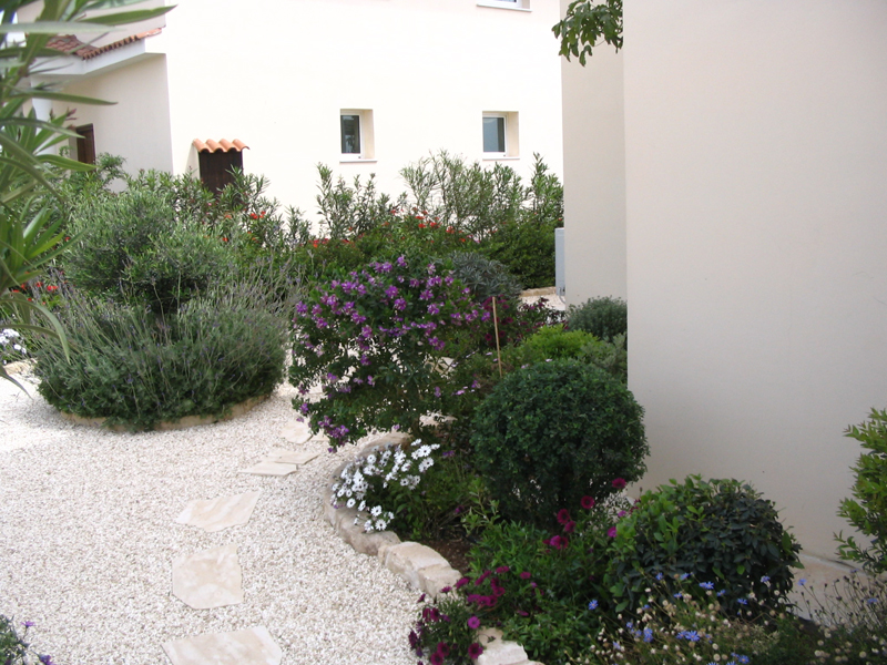 Green Forest - Cyprus' leading landscaping company - aromaticgardens 26 3
