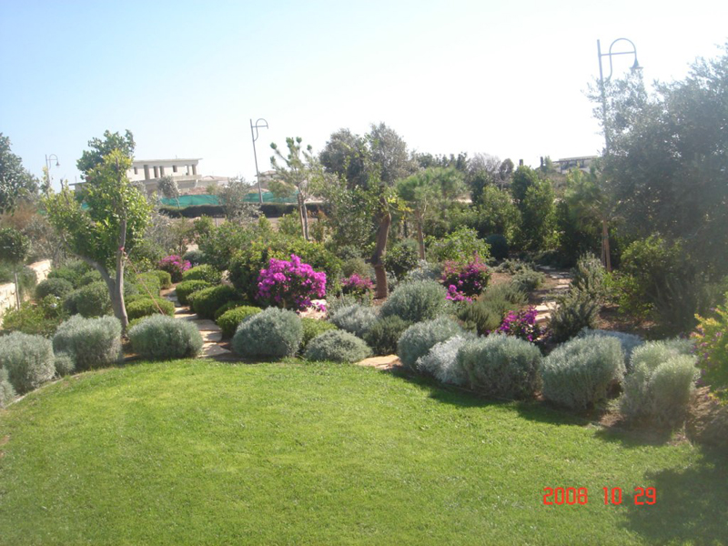 Green Forest - Cyprus' leading landscaping company - aromaticgardens 27 3