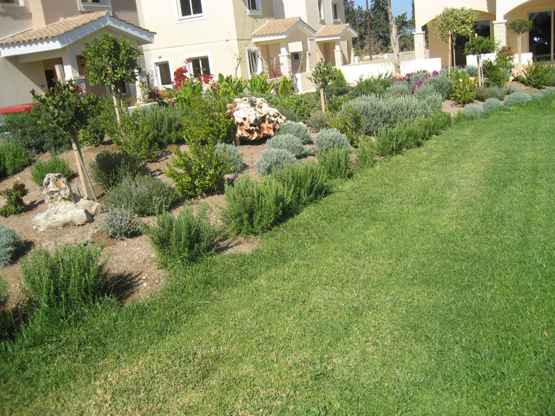 Green Forest - Cyprus' leading landscaping company - aromaticgardens 31
