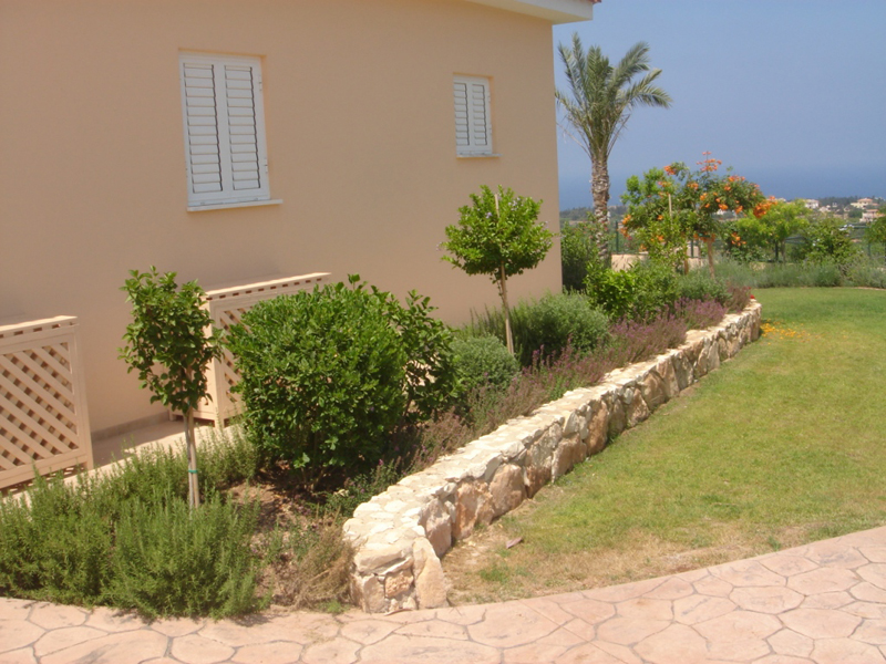 Green Forest - Cyprus' leading landscaping company - aromaticgardens 39