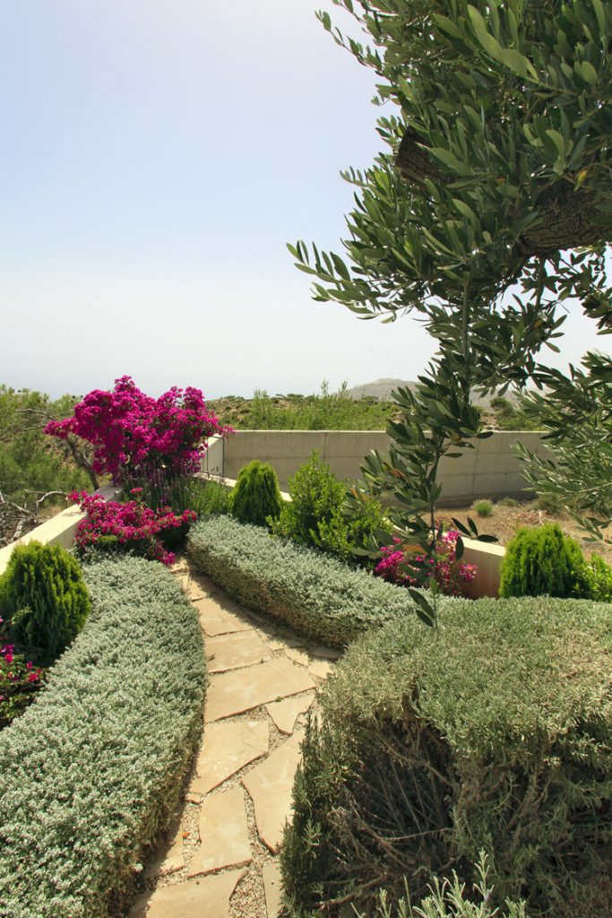 Green Forest - Cyprus' leading landscaping company - aromaticgardens 4 2