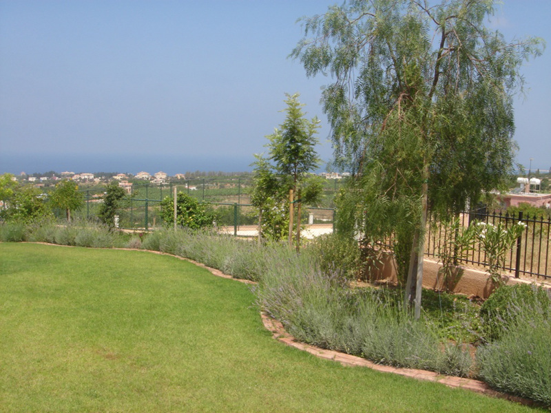 Green Forest - Cyprus' leading landscaping company - aromaticgardens 40