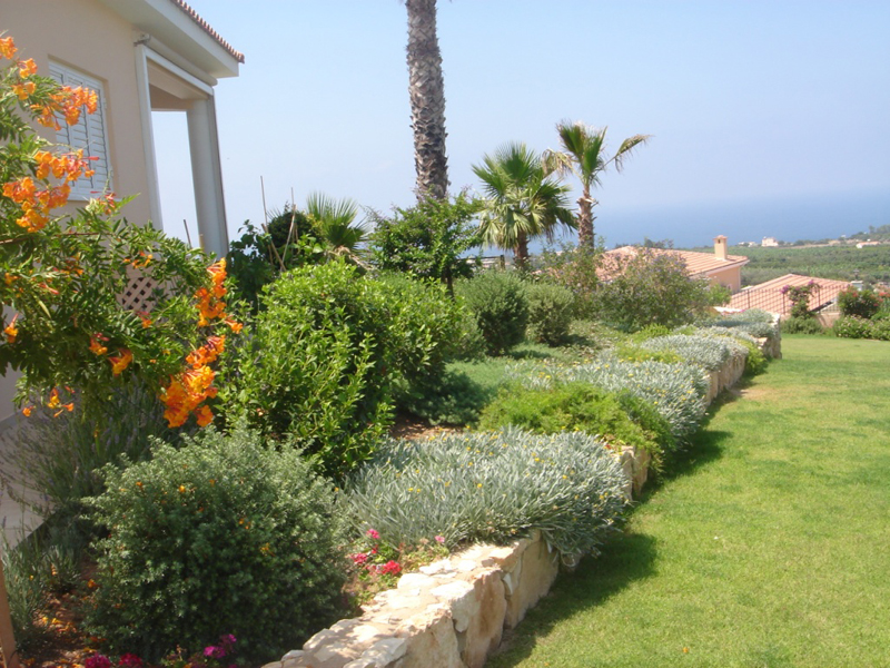 Green Forest - Cyprus' leading landscaping company - aromaticgardens 41 2