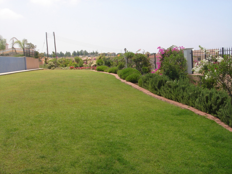 Green Forest - Cyprus' leading landscaping company - aromaticgardens 46 2