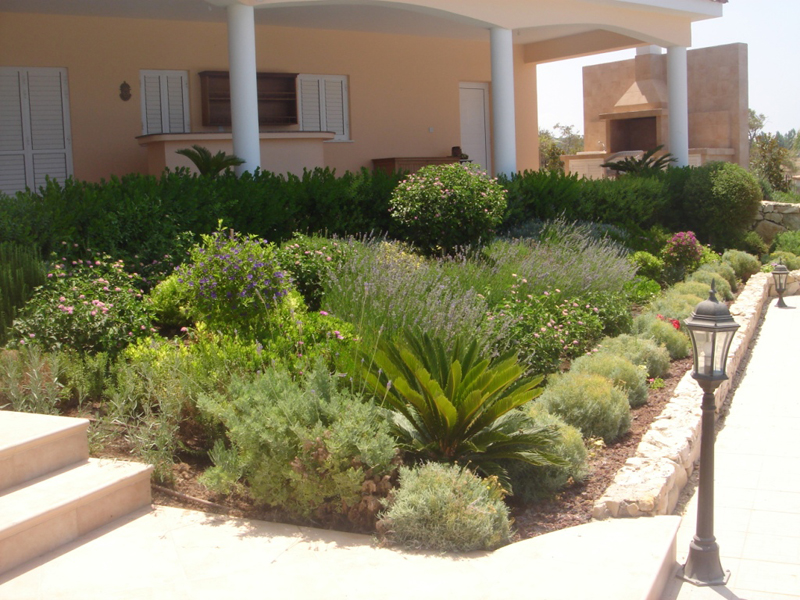 Green Forest - Cyprus' leading landscaping company - aromaticgardens 48 1