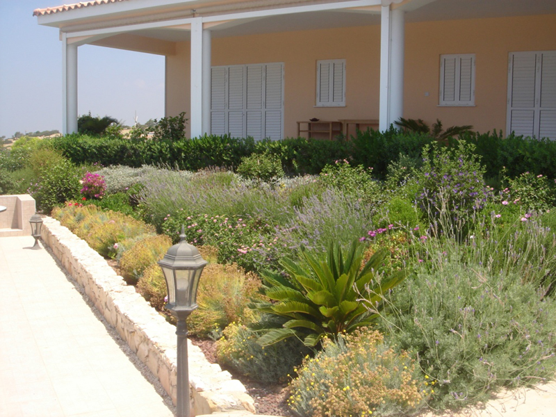Green Forest - Cyprus' leading landscaping company - aromaticgardens 49 2