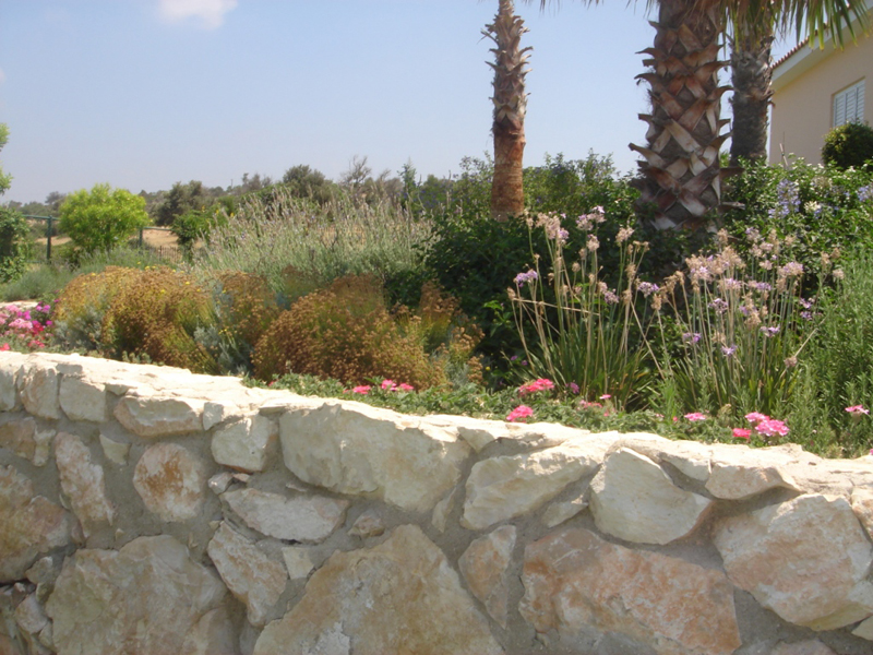 Green Forest - Cyprus' leading landscaping company - aromaticgardens 55 2