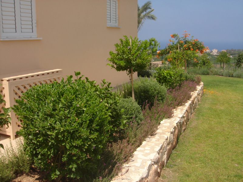 Green Forest - Cyprus' leading landscaping company - aromaticgardens 59 2