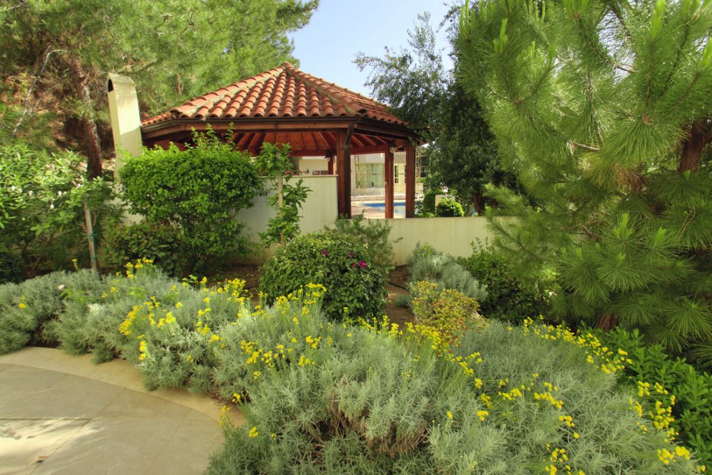 Green Forest - Cyprus' leading landscaping company - aromaticgardens 6