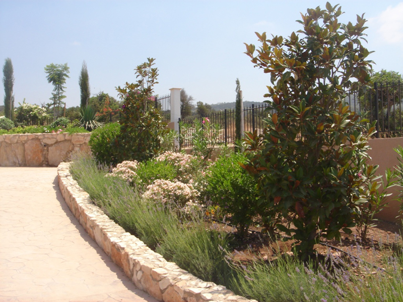 Green Forest - Cyprus' leading landscaping company - aromaticgardens 61 1
