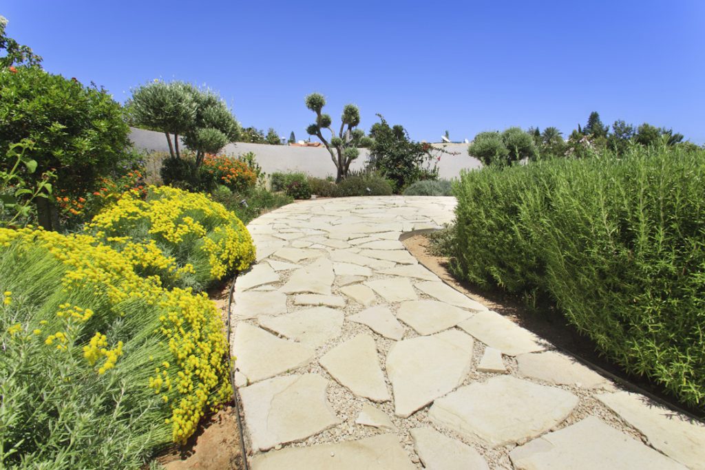Green Forest - Cyprus' leading landscaping company - aromaticgardens 7