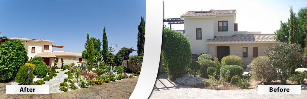 Green Forest - Cyprus' leading landscaping company - beforeafter 12