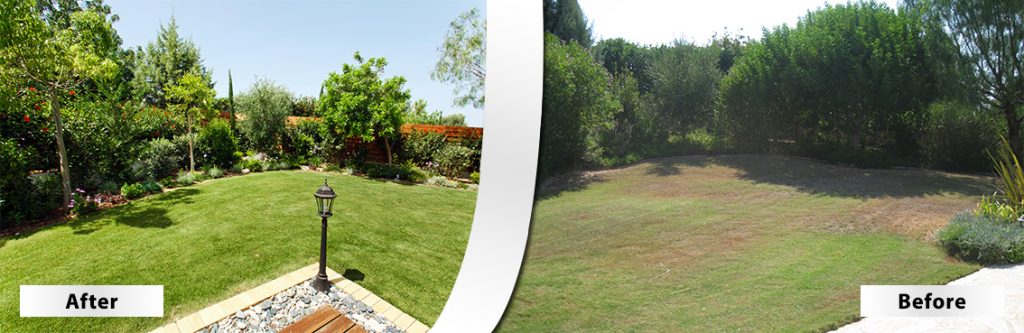 Green Forest - Cyprus' leading landscaping company - beforeafter 13 1