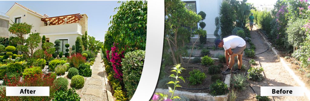 Green Forest - Cyprus' leading landscaping company - beforeafter 14 2