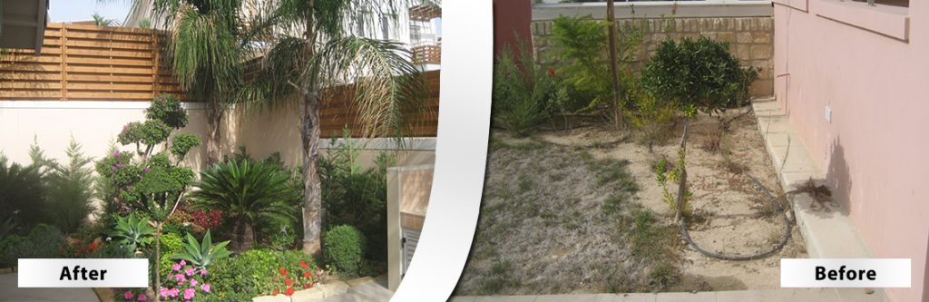 Green Forest - Cyprus' leading landscaping company - beforeafter 15 2