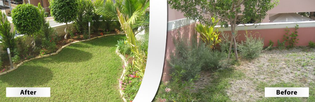 Green Forest - Cyprus' leading landscaping company - beforeafter 16 2