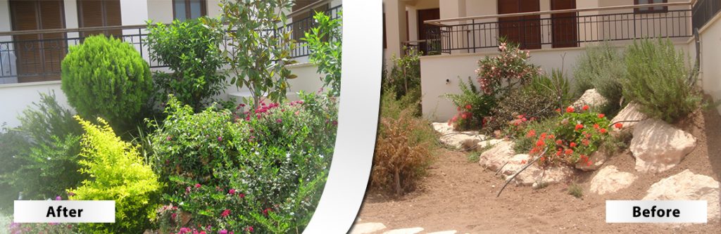 Green Forest - Cyprus' leading landscaping company - beforeafter 18 2