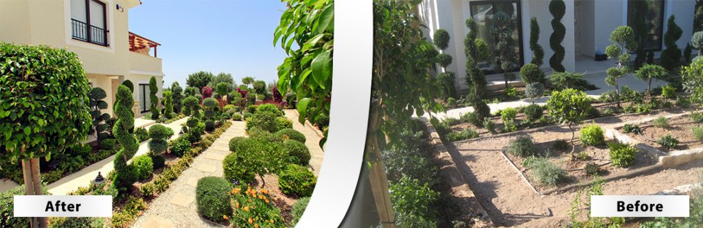 Green Forest - Cyprus' leading landscaping company - beforeafter 25 2