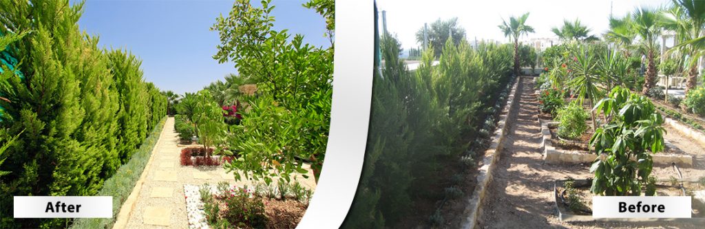 Green Forest - Cyprus' leading landscaping company - beforeafter 26 2