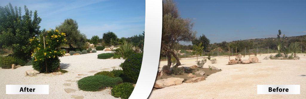 Green Forest - Cyprus' leading landscaping company - beforeafter 27 2