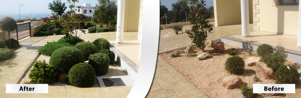 Green Forest - Cyprus' leading landscaping company - beforeafter 28 1