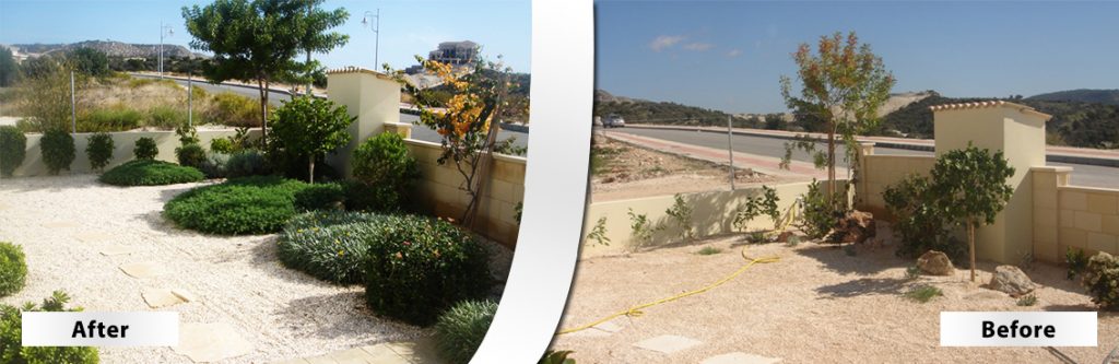 Green Forest - Cyprus' leading landscaping company - beforeafter 29 2