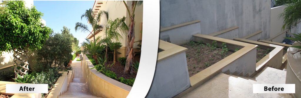 Green Forest - Cyprus' leading landscaping company - beforeafter 31 2
