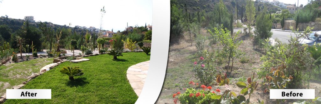 Green Forest - Cyprus' leading landscaping company - beforeafter 33 2
