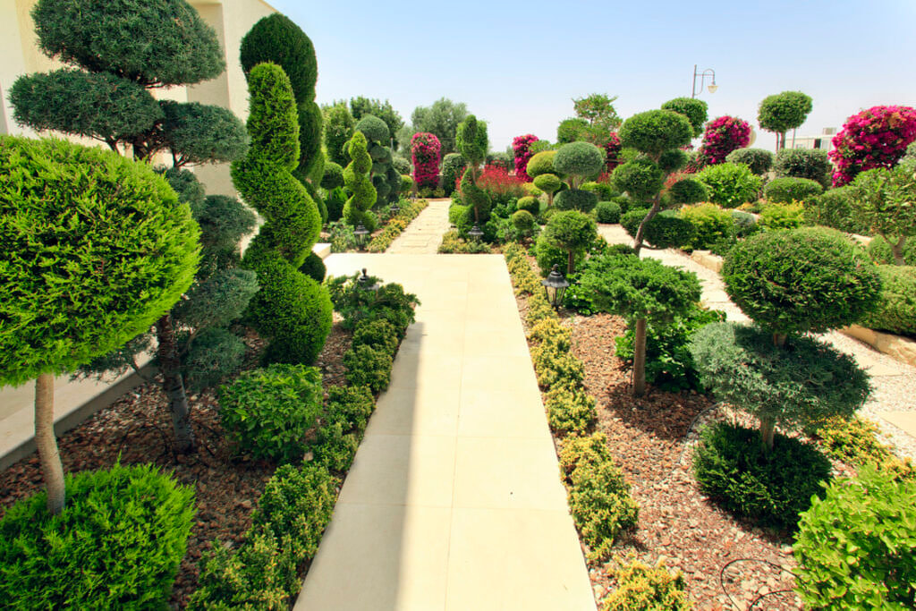 Green Forest - Cyprus' leading landscaping company - bonsaigardens 10 2