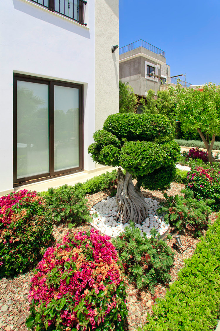 Green Forest - Cyprus' leading landscaping company - bonsaigardens 13 2