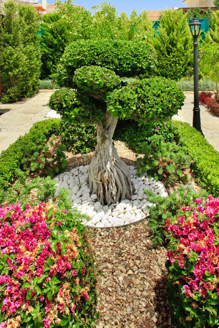 Green Forest - Cyprus' leading landscaping company - bonsaigardens 14 2
