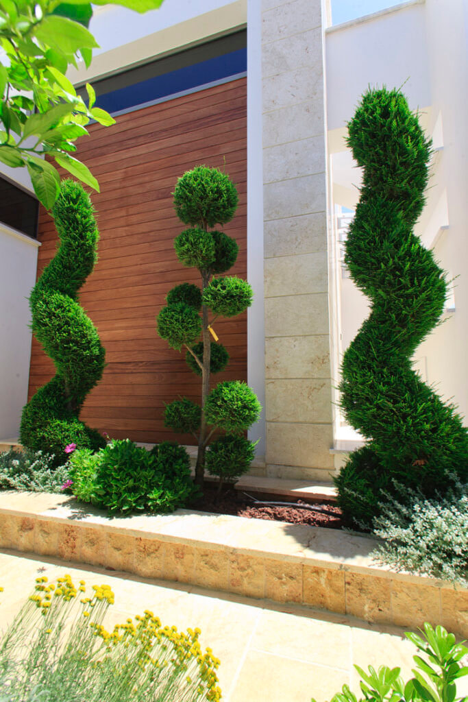Green Forest - Cyprus' leading landscaping company - bonsaigardens 16 1